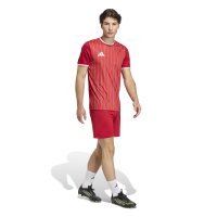 adidas Entrada 26 Gfx Jsy Trikot Herren - team power red 2/white