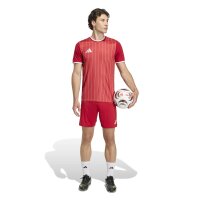 adidas Entrada 26 Gfx Jsy Trikot Herren - team power red 2/white