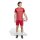 adidas Entrada 26 Gfx Jsy Trikot Herren - team power red 2/white