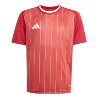 adidas Entrada 26 Gfx Jsy Y Trikot Kinder - team power...