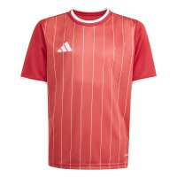 adidas Entrada 26 Gfx Jsy Y Trikot Kinder - team power...