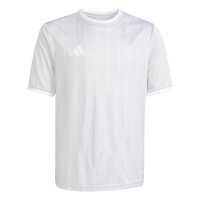 adidas Entrada 26 Gfx Jsy Y Trikot Kinder - team light...