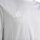 adidas Entrada 26 Gfx Jsy Y Trikot Kinder - team light grey/white