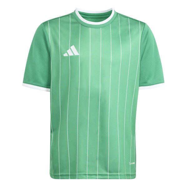 adidas Entrada 26 Gfx Jsy Y Trikot Kinder - team green/white