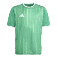 adidas Entrada 26 Gfx Jsy Y Trikot Kinder - team green/white