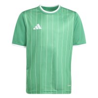 adidas Entrada 26 Gfx Jsy Y Trikot Kinder - team green/white