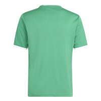 adidas Entrada 26 Gfx Jsy Y Trikot Kinder - team green/white