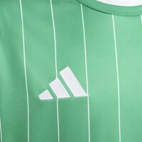 adidas Entrada 26 Gfx Jsy Y Trikot Kinder - team green/white