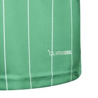 adidas Entrada 26 Gfx Jsy Y Trikot Kinder - team green/white