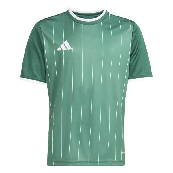 adidas Entrada 26 Gfx Jsy Y Trikot Kinder - team dark green/white