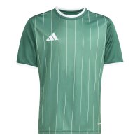 adidas Entrada 26 Gfx Jsy Y Trikot Kinder - team dark...