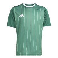 adidas Entrada 26 Gfx Jsy Y Trikot Kinder - team dark...