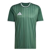 adidas Entrada 26 Gfx Jsy Trikot Herren - team dark...