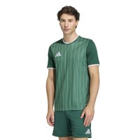 adidas Entrada 26 Gfx Jsy Trikot Herren - team dark green/white