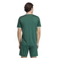 adidas Entrada 26 Gfx Jsy Trikot Herren - team dark green/white