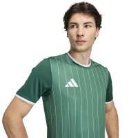 adidas Entrada 26 Gfx Jsy Trikot Herren - team dark green/white