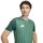 adidas Entrada 26 Gfx Jsy Trikot Herren - team dark green/white