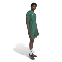 adidas Entrada 26 Sho Shorts Herren - team dark green/white