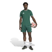 adidas Entrada 26 Sho Shorts Herren - team dark green/white