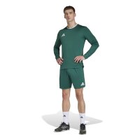 adidas Entrada 26 Jsy Ls Trikot Herren - team dark green/white