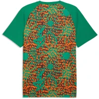 Puma FIF Elfenbeinküste Aufwärmshirt Herren...
