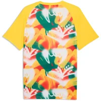 Puma FSF Senegal Aufwärmshirt Herren WM2026 -...
