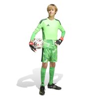 adidas Tiro 26 Torwartshorts Kinder - grün/weiß