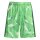 adidas Tiro 26 Torwartshorts Kinder - grün/weiß