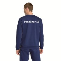 Penzliner SV x adidas Entrada 26 Sweatshirt Herren - team...