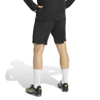 Hülser SV x adidas Entrada 26 Trainingsshorts Herren...