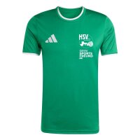 Hülser SV x adidas Entrada 26 Trikot Herren - team green/white