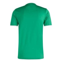 Hülser SV x adidas Entrada 26 Trikot Herren - team green/white