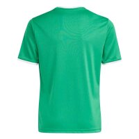 Hülser SV x adidas Entrada 26 Trikot Kinder - team green/white