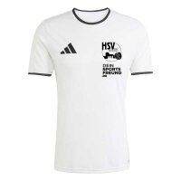 Hülser SV x adidas Entrada 26 Trikot Herren - white/black
