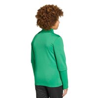 Hülser SV x adidas Entrada 26 Kids Track Top Kinder - team green/white