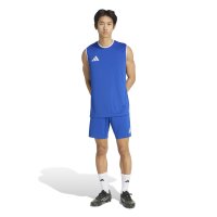 Hülser SV x adidas Entrada 26 Sl Jsy Trikot Herren - white/black