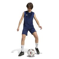 Hülser SV x adidas Entrada 26 Sl Jsy Y Trikot Kinder - white/black