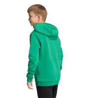 Hülser SV x adidas Entrada 26 Hoodie Kinder - team green/white