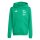 Hülser SV x adidas Entrada 26 Hoodie Kinder - team green/white