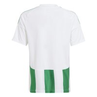 adidas Striped 24 Trikot Kinder -grün/weiß