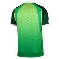 Nike Nigeria Home Stadium Trikot Herren WM2026 - grün