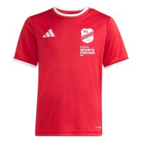 SG Neukirchen Hülchrath x adidas Entrada 26 Trikot...