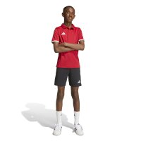 SG Neukirchen-Hülchrath x a 26 Kids Poloshirt Kinder - team power red 2/white