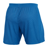 Nike Dri-Fit ADV Vapor Shorts Herren - blau