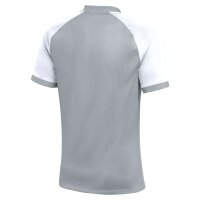 Nike Trophy VI Dri-Fit Trikot Herren - grau/weiß