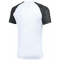 Nike Academy II Trikot Herren - weiß/schwarz