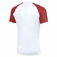 Nike Academy II Trikot Herren - weiß/rot