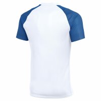 Nike Academy II Trikot Herren - weiß/blau