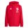 SG Neukirchen-Hülchrath x adidas Entrada 26 Allwetter Jacke Kinder - team power red 2/white