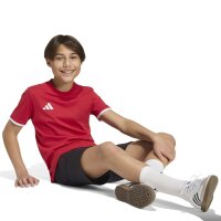 ISD Lions x adidas Entrada 26 Kids T-Shirt Kinder - team power red 2/white